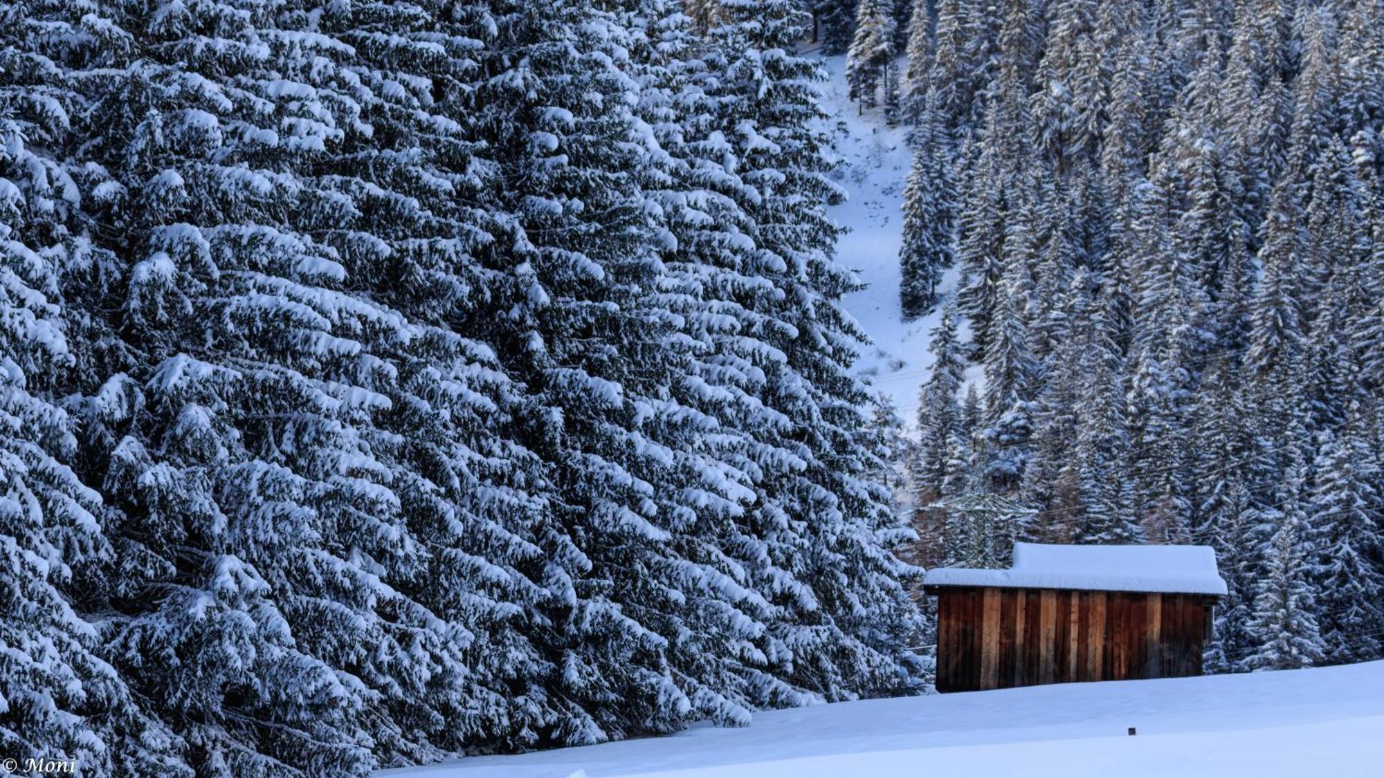 Haus Timmler Leilighet St. Anton am Arlberg Eksteriør bilde