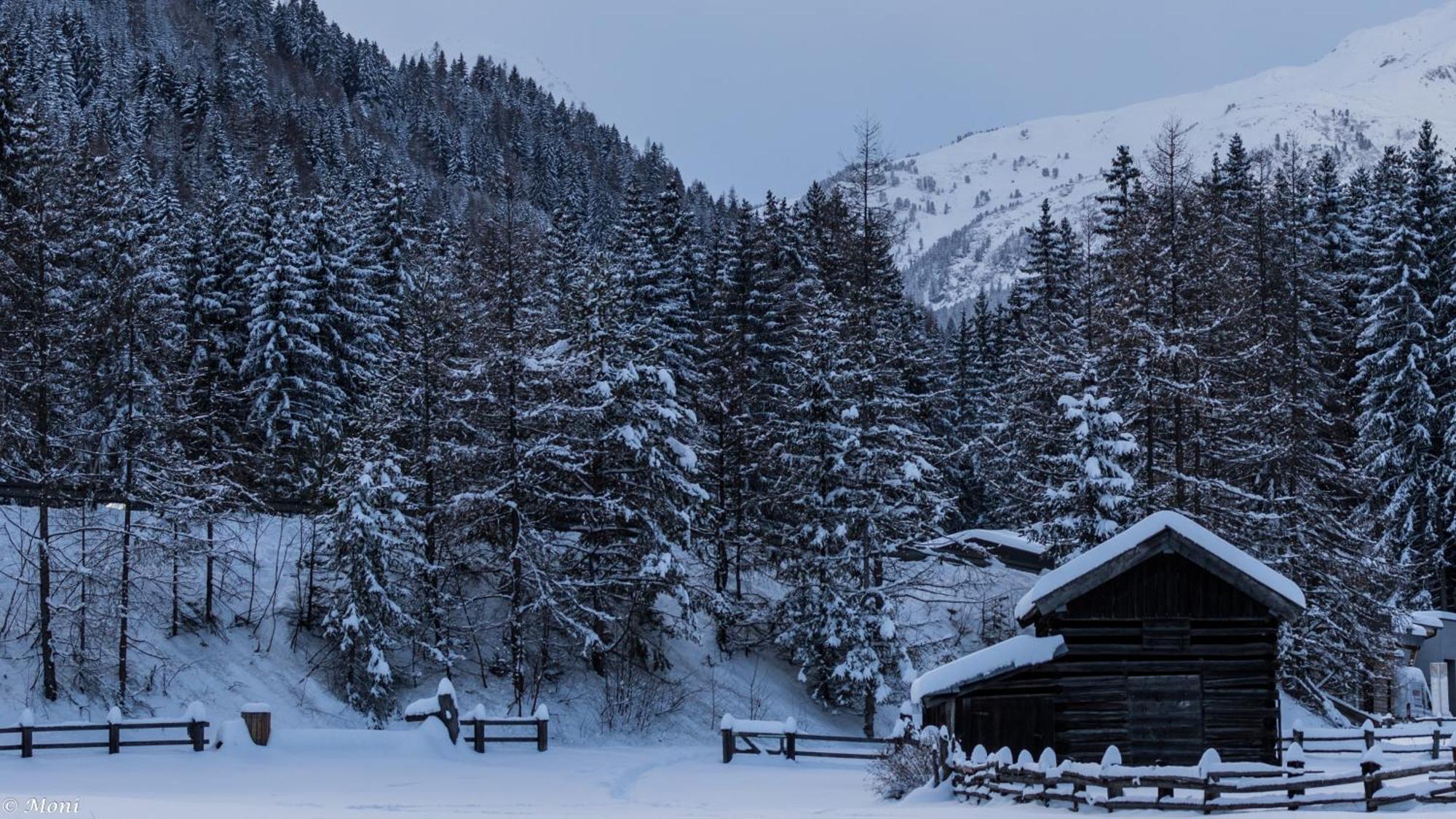 Haus Timmler Leilighet St. Anton am Arlberg Eksteriør bilde